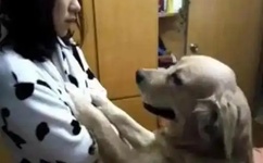 小向美奈子快播